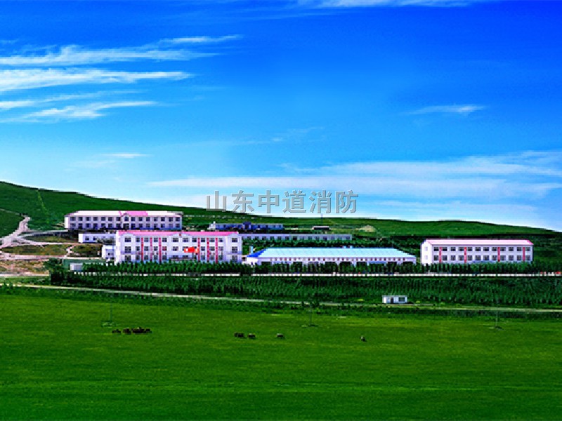 山東黃金車輛設(shè)備自動滅火系統(tǒng)裝置